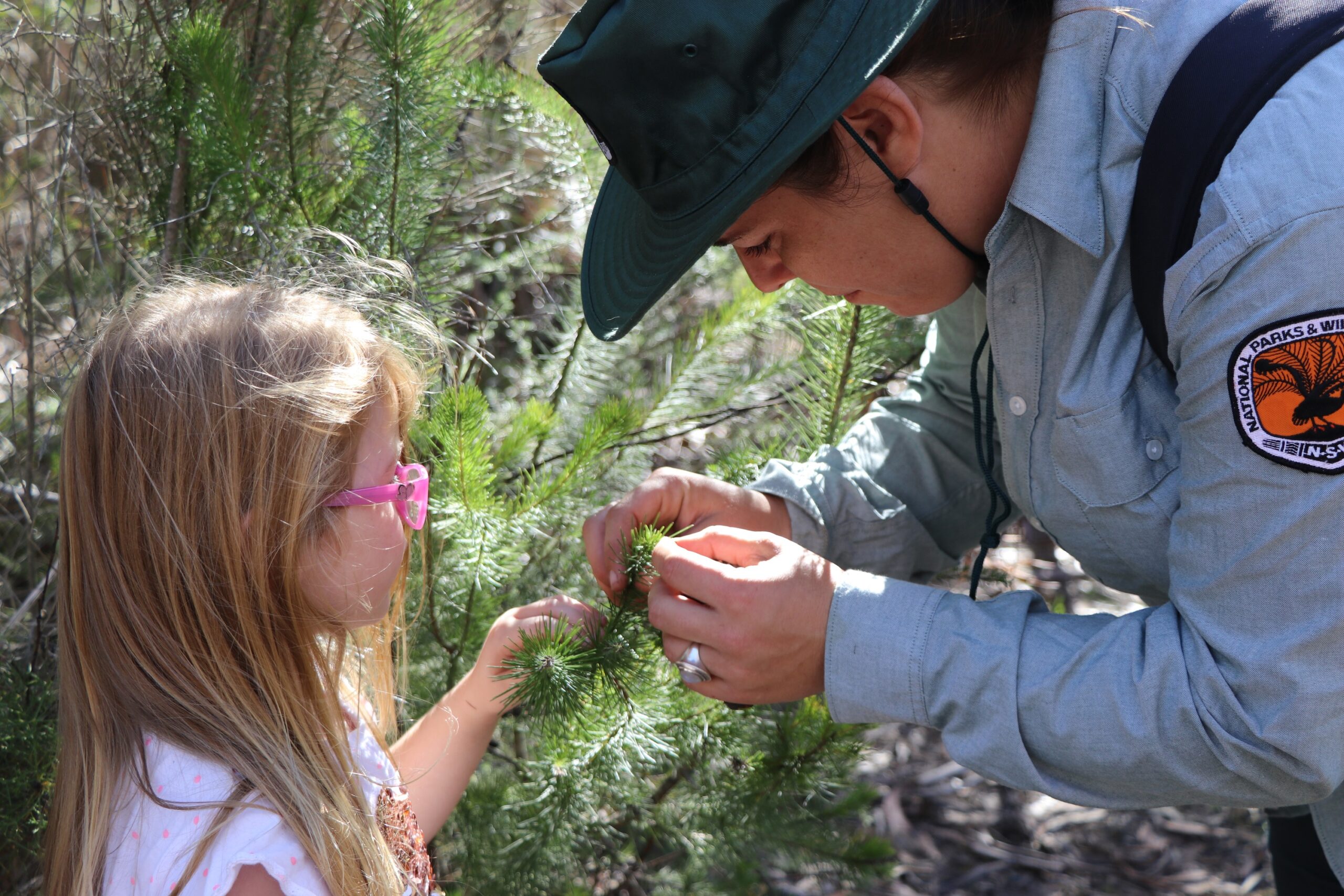 Dharawal National Park - Sensory Walk